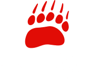 Ourson Diffusion